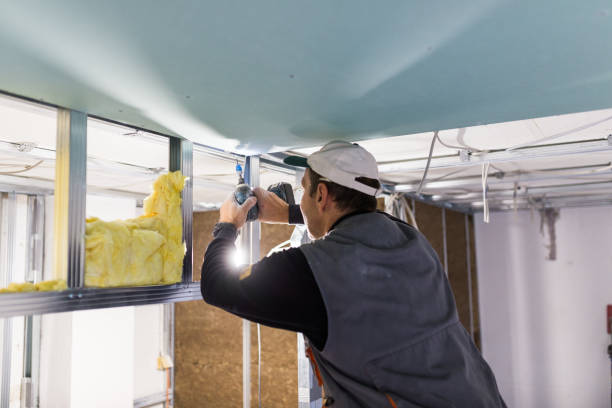 Best Wall Insulation Installation  in USA